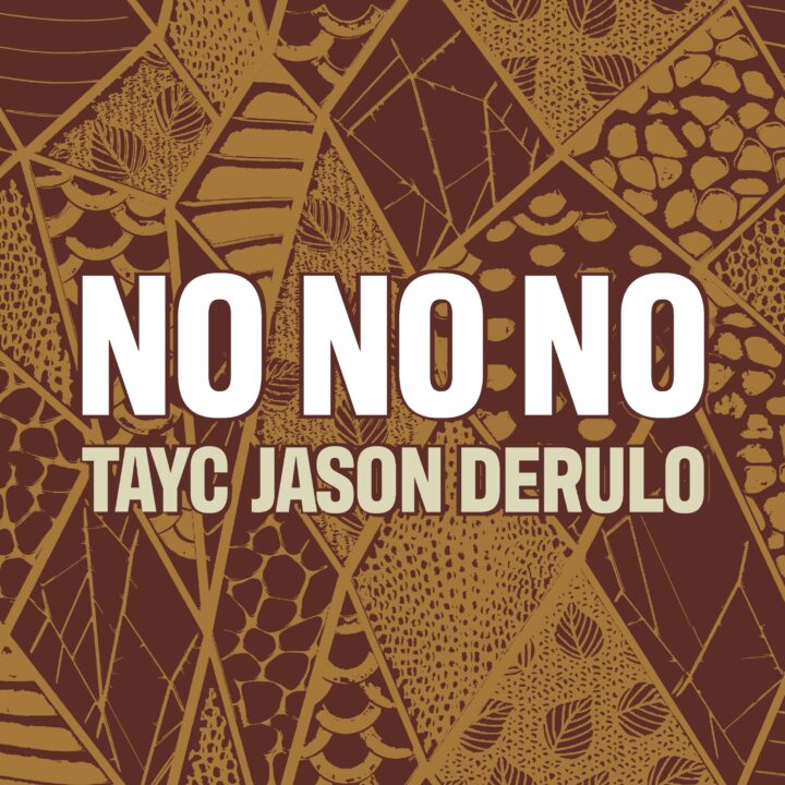 TAYC X JASON DERULO : LEUR NOUVEAU SINGLE “NO NO NO”